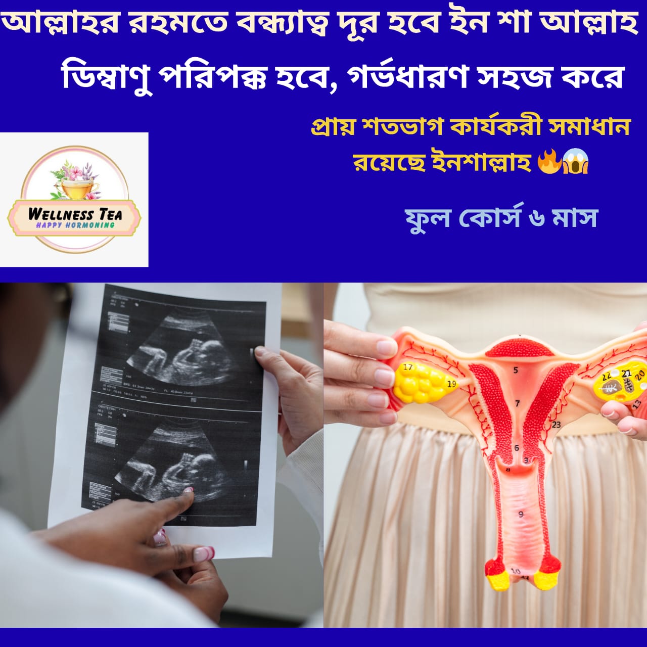 WhatsApp Image 2025-11-22 at 17.20.47_acc9b5d5